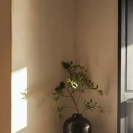 Anandes (adults Only) 5*