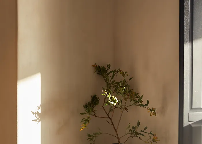 Anandes (adults Only) ホテル 5*